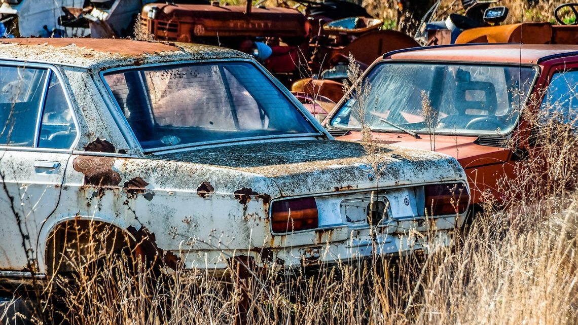 découvrez les enjeux du développement durable : une approche visant à concilier croissance économique, protection de l'environnement et bien-être social pour un avenir responsable et équilibré.