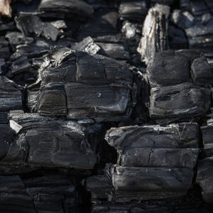 découvrez tout ce que vous devez savoir sur l'empreinte carbone. apprenez à évaluer votre impact environnemental et explorez des solutions pour réduire vos émissions de co2 au quotidien.