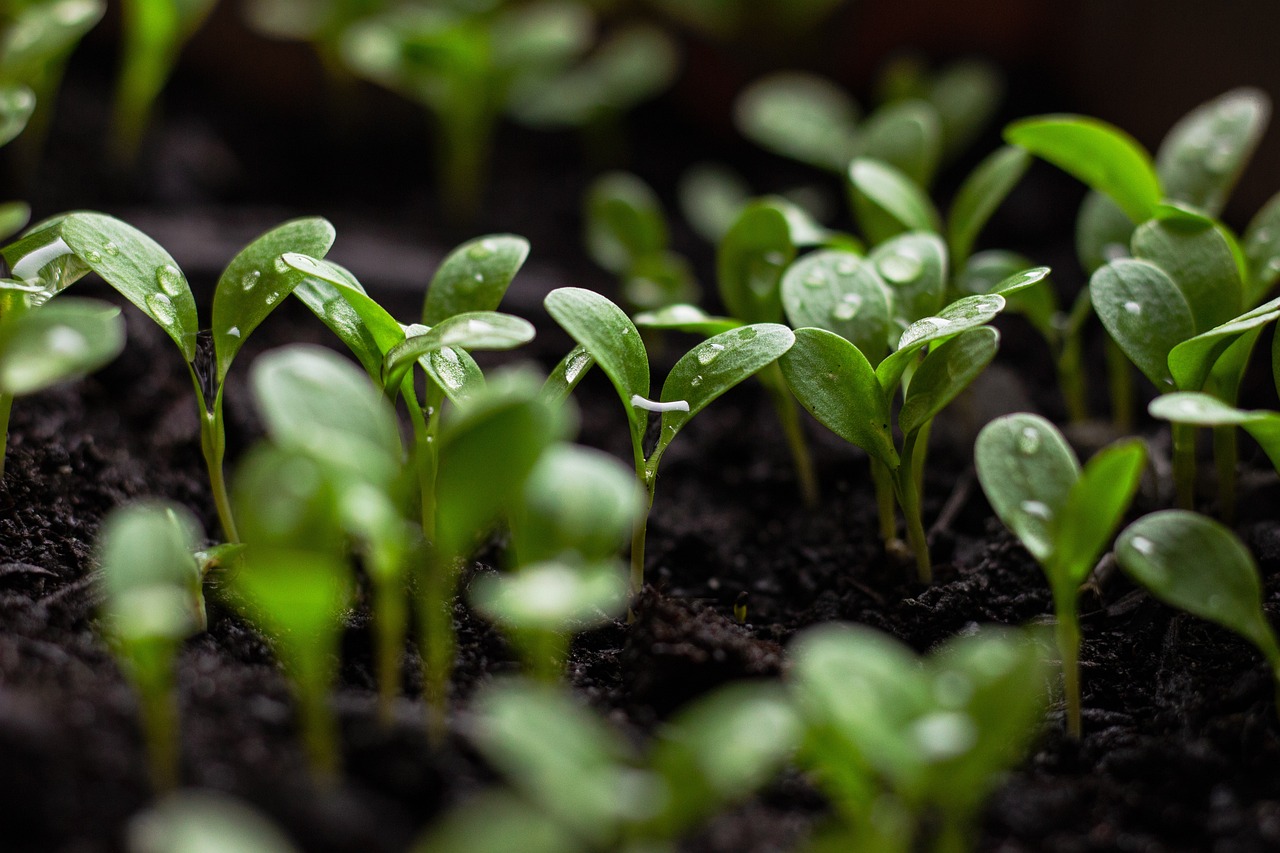 découvrez l'importance de la durabilité dans notre monde moderne. explorez des pratiques écologiques, des solutions innovantes et des initiatives pour un avenir respectueux de l'environnement.