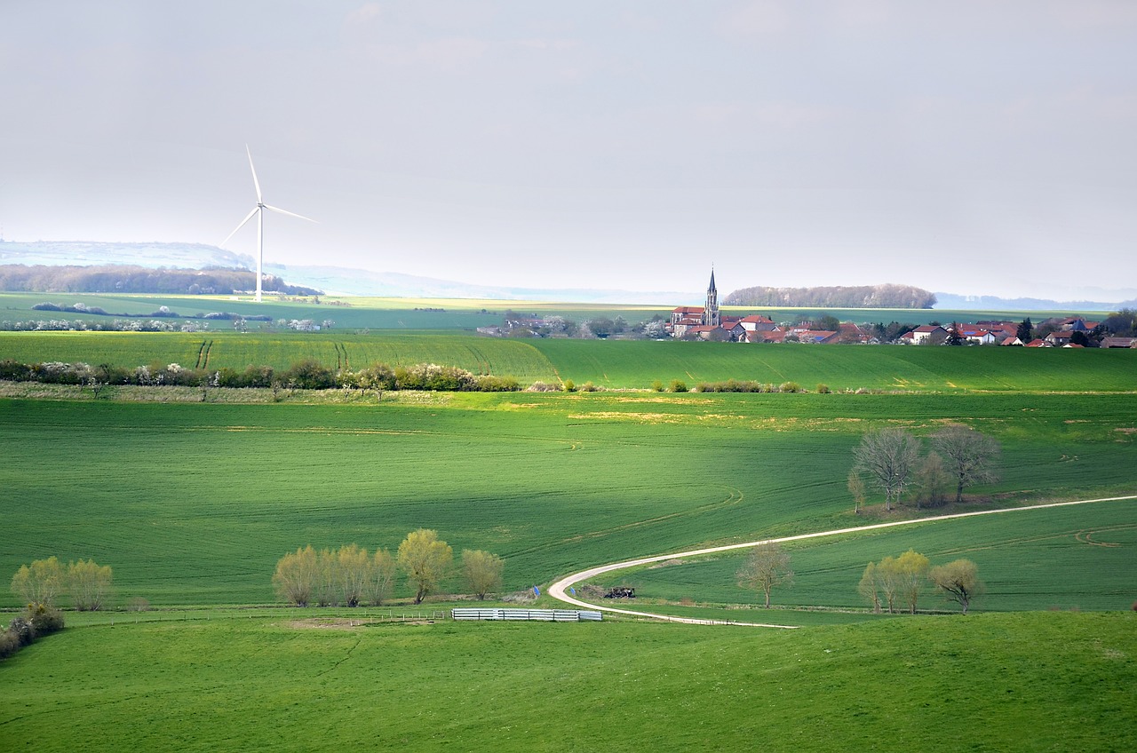 découvrez l'importance du développement durable : un équilibre essentiel entre croissance économique, protection de l'environnement et bien-être social. explorez des stratégies innovantes et des initiatives inspirantes pour un avenir plus vert et responsable.