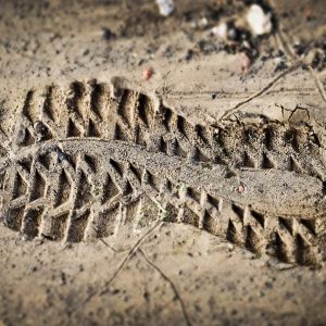 découvrez tout sur l'empreinte carbone : définition, impact environnemental, et astuces pour la réduire efficacement. engagez-vous vers un avenir durable en prenant conscience de votre empreinte et en agissant pour préserver notre planète.
