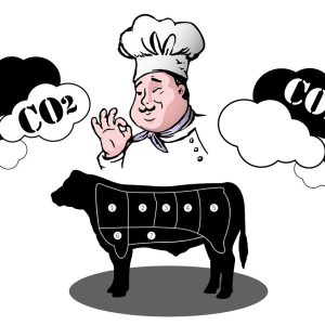 découvrez tout sur l'empreinte carbone, son impact sur l'environnement et les stratégies pour la réduire. apprenez comment adopter des pratiques durables pour minimiser votre empreinte et contribuer à la préservation de notre planète.