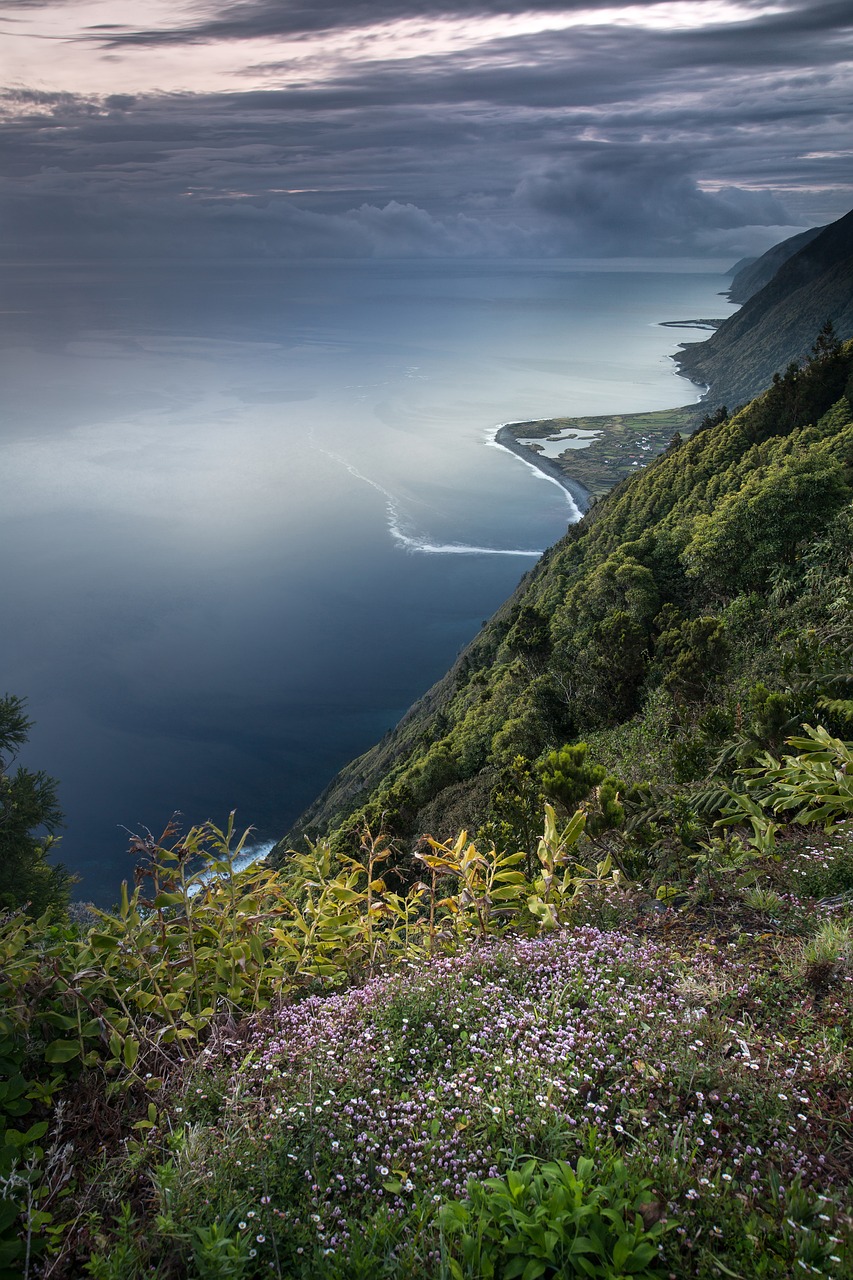 découvrez l'importance de la biodiversité pour notre planète et notre bien-être. explorez les écosystèmes, les espèces menacées et les actions que nous pouvons entreprendre pour préserver la richesse naturelle de notre terre.