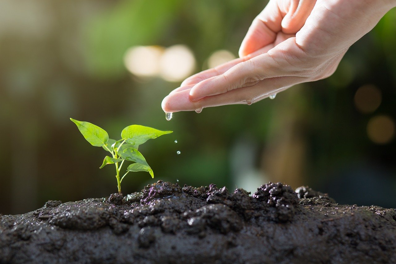 découvrez l'écologie, une science essentielle pour comprendre les interactions entre les êtres vivants et leur environnement. explorez des solutions durables pour préserver notre planète et améliorer notre qualité de vie.