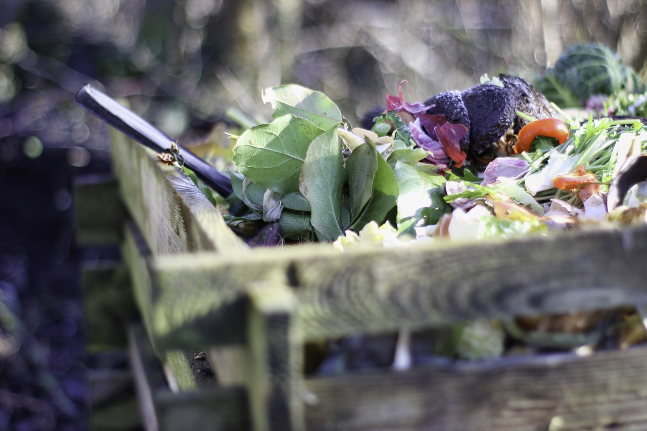 découvrez les bienfaits du compostage : une méthode écologique pour transformer vos déchets organiques en engrais naturel. apprenez à compostez facilement chez vous et participez à la réduction des déchets tout en nourrissant votre jardin.