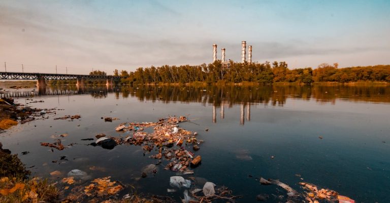 Pollution : les causes et conséquences sur notre environnement