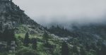 Citoyennent écologique : Comment s’engager pour un avenir durable