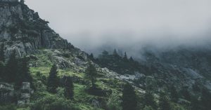Citoyennent écologique : Comment s’engager pour un avenir durable