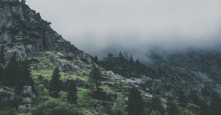 Citoyennent écologique : Comment s’engager pour un avenir durable