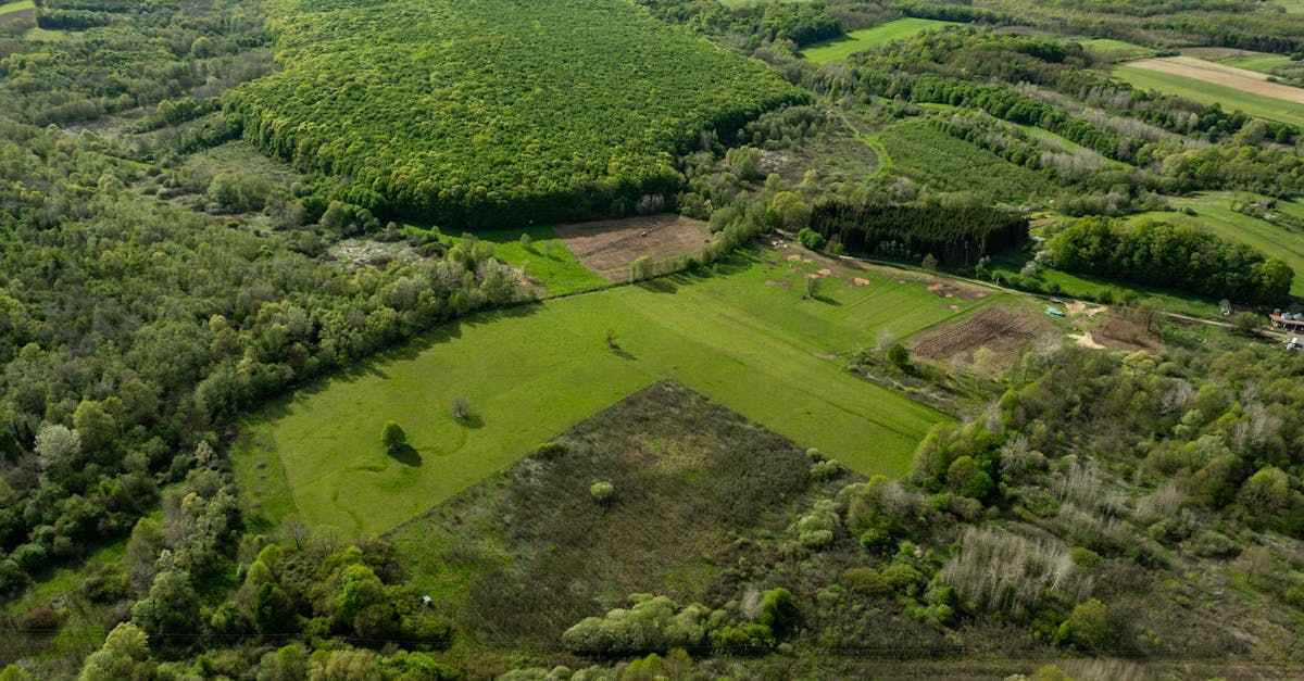 découvrez les principes de la citoyenneté écologique et comment chacun peut contribuer à un avenir durable. explorez les actions et les responsabilités qui encouragent la protection de l'environnement au sein de nos communautés.