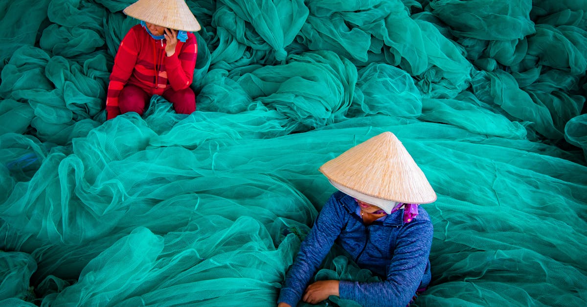 découvrez les industries vertes, un secteur en plein essor qui promeut des pratiques durables et respectueuses de l'environnement. explorez les innovations et les technologies qui transforment notre économie pour un avenir plus écologique.
