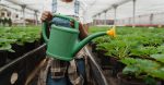 Pratiques agricoles durables : promouvoir une agriculture responsable et respectueuse de l’environnement