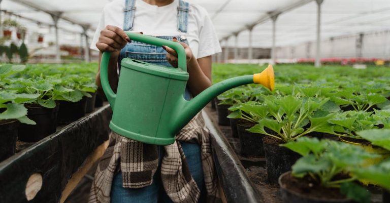 Pratiques agricoles durables : promouvoir une agriculture responsable et respectueuse de l’environnement
