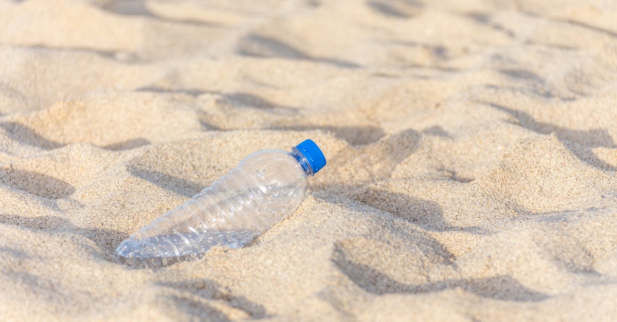 découvrez les enjeux liés aux dommages écologiques : leurs causes, conséquences et solutions pour préserver notre environnement. informez-vous sur l'impact des activités humaines sur la planète et comment agir pour un avenir durable.