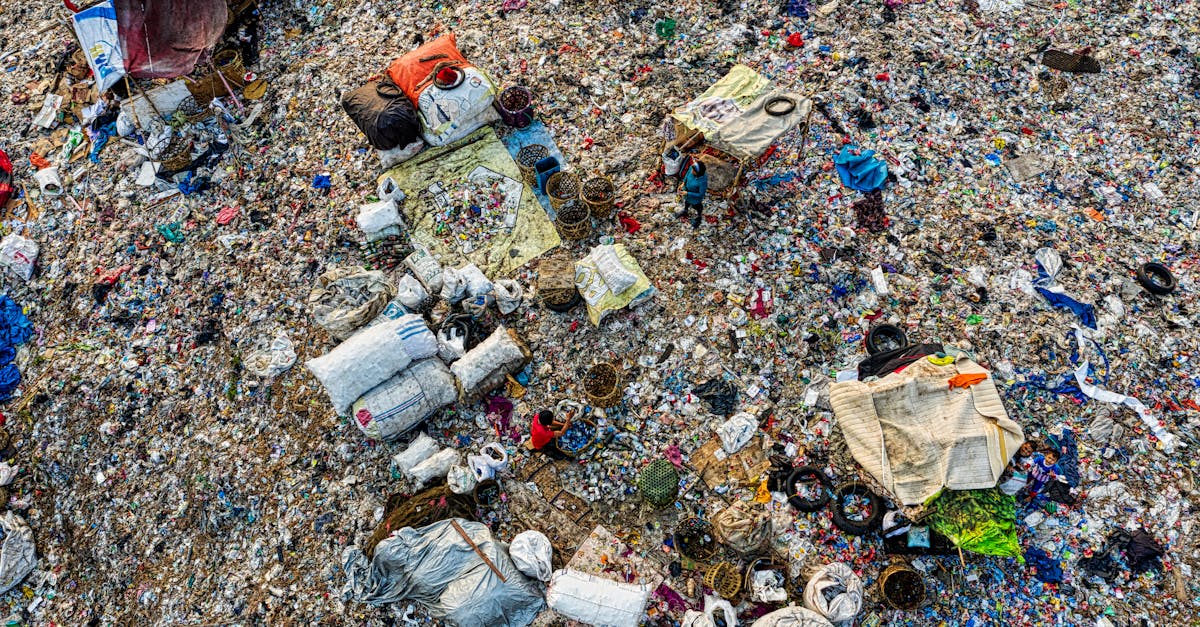 découvrez les causes et les conséquences des dommages écologiques, ainsi que des solutions pour préserver notre planète. informez-vous sur l'impact de l'activité humaine sur les écosystèmes et les actions nécessaires pour un avenir durable.