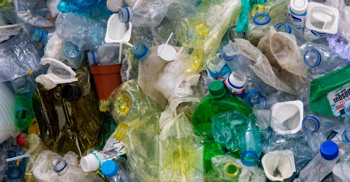 découvrez les solutions basées sur la nature, qui offrent des approches durables pour relever les défis environnementaux. explorez comment ces stratégies innovantes peuvent favoriser la biodiversité, améliorer la gestion des ressources et contribuer à un avenir plus résilient.