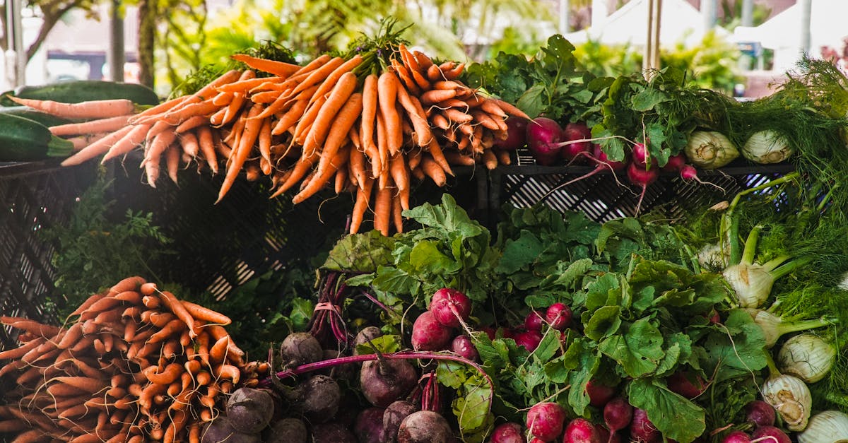 découvrez l'agriculture durable, une approche innovante qui allie respect de l'environnement et productivité agricole. apprenez comment cette méthode préserve les ressources naturelles, soutient la biodiversité et contribue à la sécurité alimentaire tout en garantissant des pratiques éthiques et responsables.