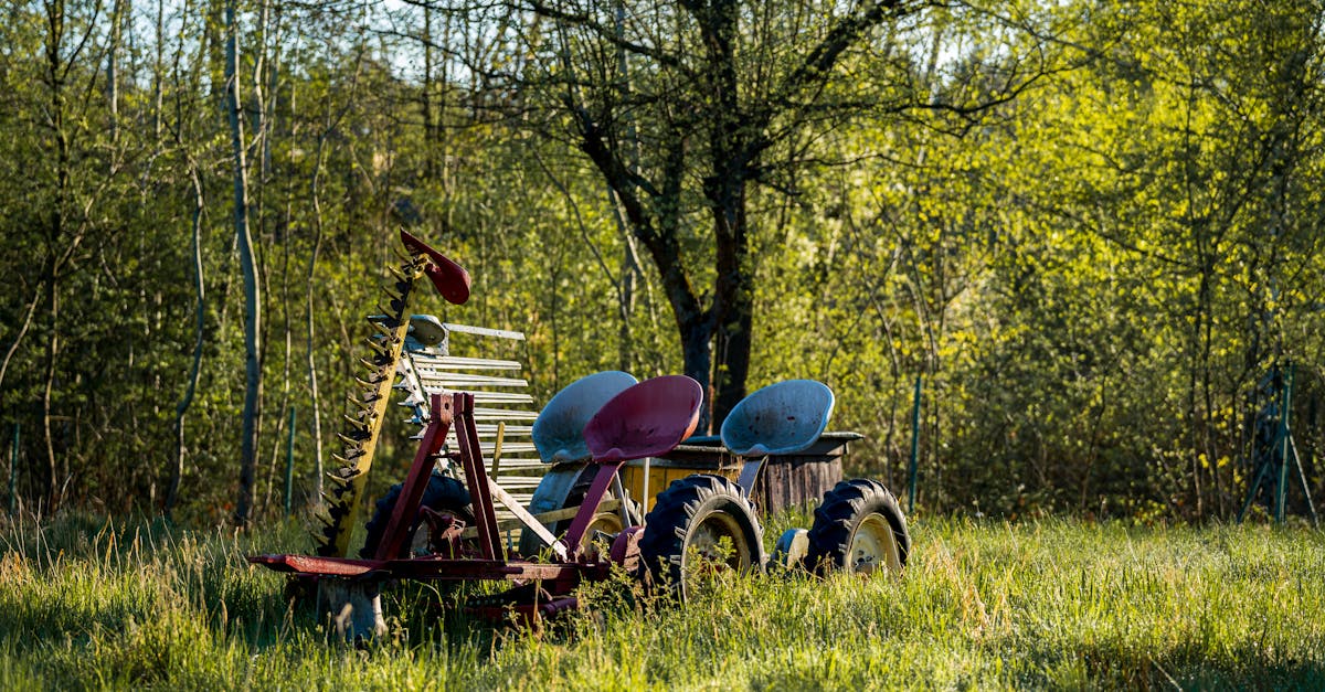 découvrez l'agriculture durable : une pratique révolutionnaire qui allie respect de l'environnement, efficacité économique et bien-être social. apprenez comment cette approche innovante contribue à préserver les ressources naturelles tout en garantissant des récoltes de qualité pour les générations futures.